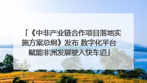 《中非产业链合作项目落地实施方案总纲》发布 数字化平台赋能非洲发展驶入快车道