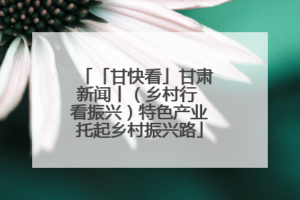「甘快看」甘肃新闻丨（乡村行 看振兴）特色产业托起乡村振兴路