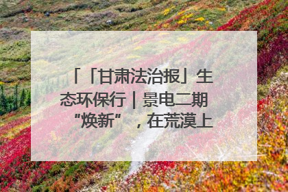 「甘肃法治报」生态环保行｜景电二期“焕新”，在荒漠上筑起一道绿色长城
