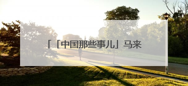 「中国那些事儿」马来西亚专家：中国对多边主义的开放态度增强了全球南方国家的力量