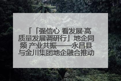 「强信心 看发展·高质量发展调研行」地企同频 产业共振——永昌县与金川集团地企融合推动重大项目建设