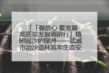 「强信心 看发展·高质量发展调研行」植树固沙护绿洲——武威市治沙造林筑牢生态安全屏障见闻