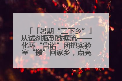 「暑期“三下乡”」从试剂瓶到数据流——化环“鲁诺”团把实验室“搬”回家乡，点亮桑梓求知路