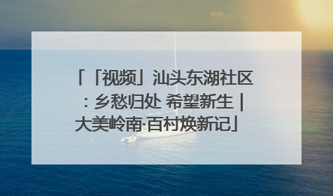 「视频」汕头东湖社区：乡愁归处 希望新生｜大美岭南·百村焕新记