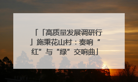 「高质量发展调研行」施秉花山村：奏响“红”与“绿”交响曲