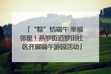 “粽”情端午 幸福邻里！燕罗街道罗田社区开展端午游园活动