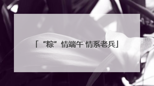 “粽”情端午 情系老兵