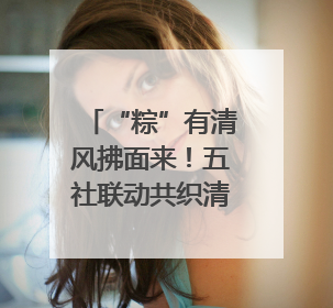 “粽”有清风拂面来！五社联动共织清风网