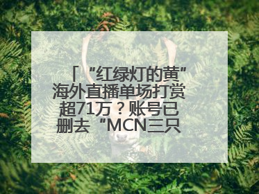 “红绿灯的黄”海外直播单场打赏超71万？账号已删去“MCN三只羊”标识