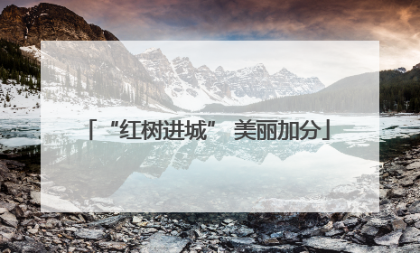 “红树进城” 美丽加分