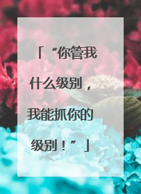 “你管我什么级别，我能抓你的级别！”