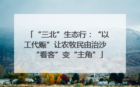 “三北”生态行：“以工代赈”让农牧民由治沙“看客”变“主角”