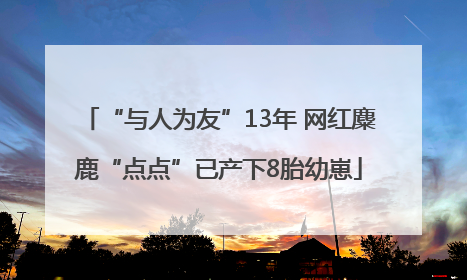 “与人为友”13年 网红麋鹿“点点”已产下8胎幼崽