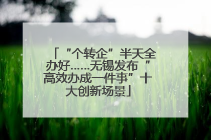 “个转企”半天全办好……无锡发布“高效办成一件事”十大创新场景