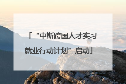“中斯跨国人才实习就业行动计划”启动
