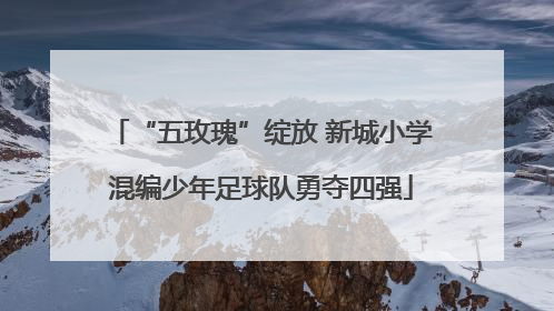 “五玫瑰”绽放 新城小学混编少年足球队勇夺四强