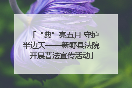 “典”亮五月 守护半边天——新野县法院开展普法宣传活动