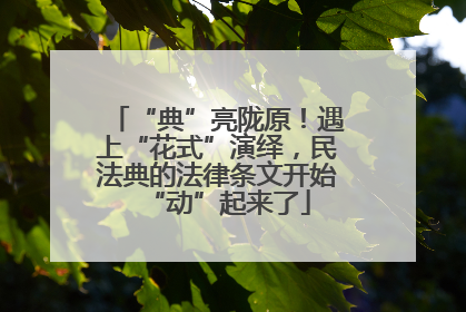 “典”亮陇原！遇上“花式”演绎，民法典的法律条文开始“动”起来了