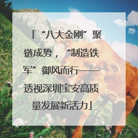 “八大金刚”聚链成势，“制造铁军”御风而行——透视深圳宝安高质量发展新活力