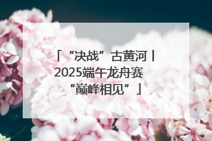 “决战”古黄河丨2025端午龙舟赛“巅峰相见”