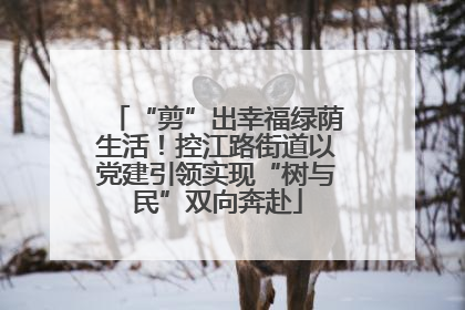 “剪”出幸福绿荫生活！控江路街道以党建引领实现“树与民”双向奔赴