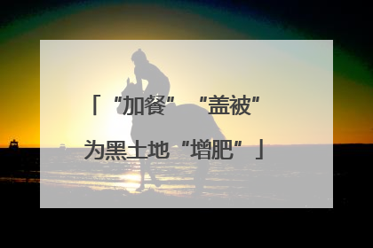 “加餐”“盖被” 为黑土地“增肥”