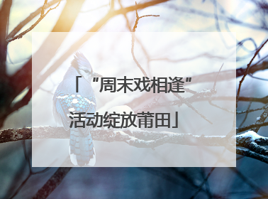 “周末戏相逢”活动绽放莆田