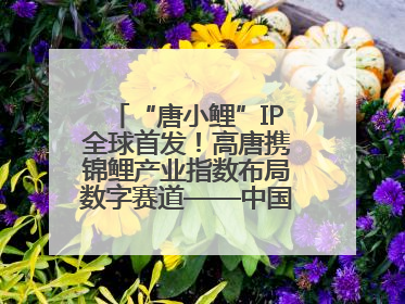 “唐小鲤”IP全球首发！高唐携锦鲤产业指数布局数字赛道——中国高唐锦鲤产业指数暨“唐小鲤”IP全球首发仪式在杭州举行