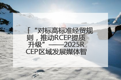 “对标高标准经贸规则，推动RCEP提质升级”——2025RCEP区域发展媒体智库论坛举行专题对话
