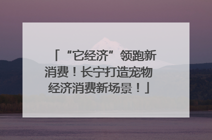 “它经济”领跑新消费！长宁打造宠物经济消费新场景！
