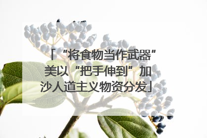 “将食物当作武器” 美以“把手伸到”加沙人道主义物资分发