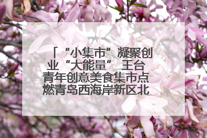 “小集市”凝聚创业“大能量” 王台青年创意美食集市点燃青岛西海岸新区北部新城夜经济