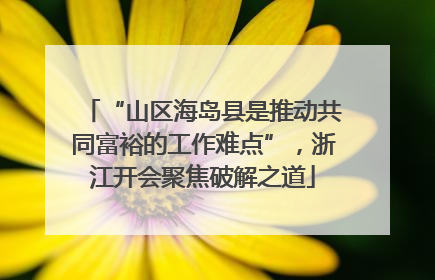 “山区海岛县是推动共同富裕的工作难点”，浙江开会聚焦破解之道
