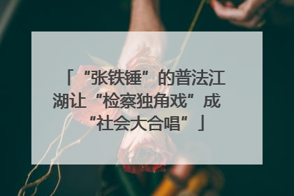 “张铁锤”的普法江湖让“检察独角戏”成“社会大合唱”