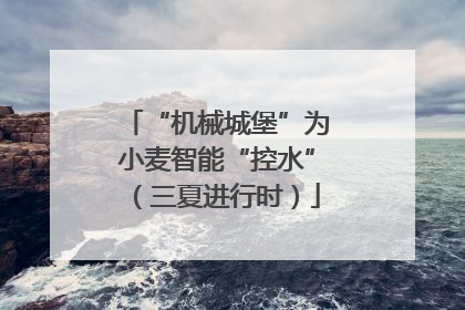 “机械城堡”为小麦智能“控水”（三夏进行时）