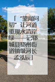 “望闻问切”让河道重现水清岸绿——记郓城县郓州街道镇级河长孟泓辰