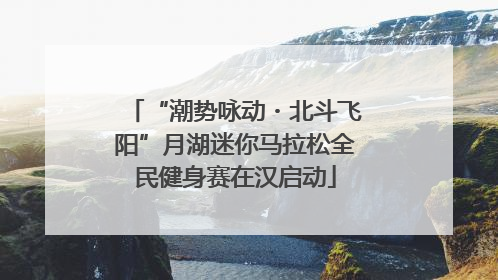 “潮势咏动・北斗飞阳”月湖迷你马拉松全民健身赛在汉启动