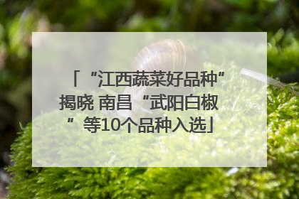 “江西蔬菜好品种”揭晓 南昌“武阳白椒”等10个品种入选