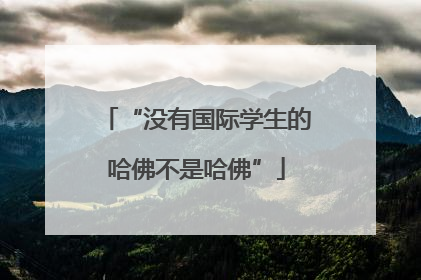 “没有国际学生的哈佛不是哈佛”