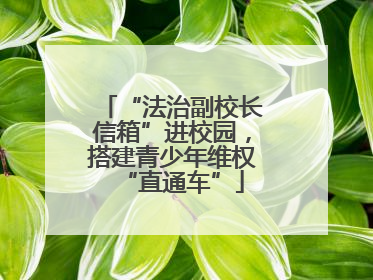 “法治副校长信箱”进校园，搭建青少年维权“直通车”