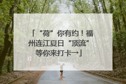 “荷”你有约！福州连江夏日“顶流”等你来打卡→