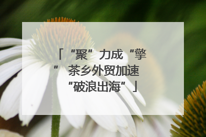 “聚”力成“擎” 茶乡外贸加速“破浪出海”
