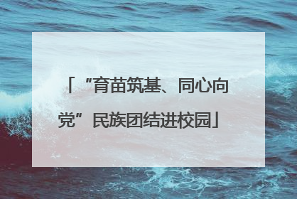 “育苗筑基、同心向党”民族团结进校园