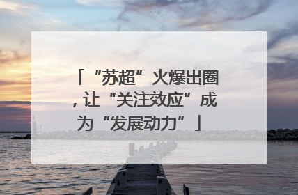 “苏超”火爆出圈，让“关注效应”成为“发展动力”