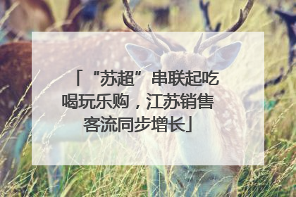 “苏超”串联起吃喝玩乐购，江苏销售客流同步增长