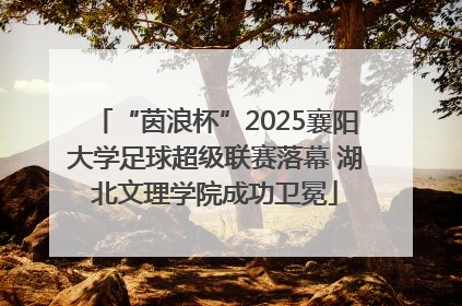 “茵浪杯”2025襄阳大学足球超级联赛落幕 湖北文理学院成功卫冕