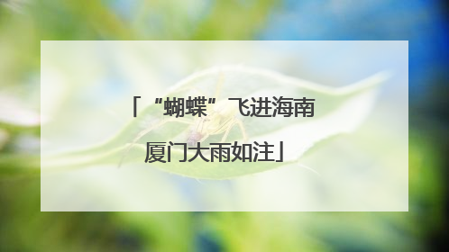 “蝴蝶”飞进海南 厦门大雨如注