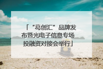 “葛创汇”品牌发布暨光电子信息专场投融资对接会举行