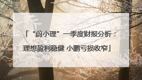 “蔚小理”一季度财报分析：理想盈利稳健 小鹏亏损收窄