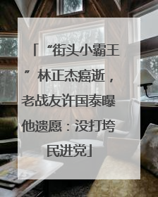 “街头小霸王”林正杰癌逝，老战友许国泰曝他遗愿：没打垮民进党
